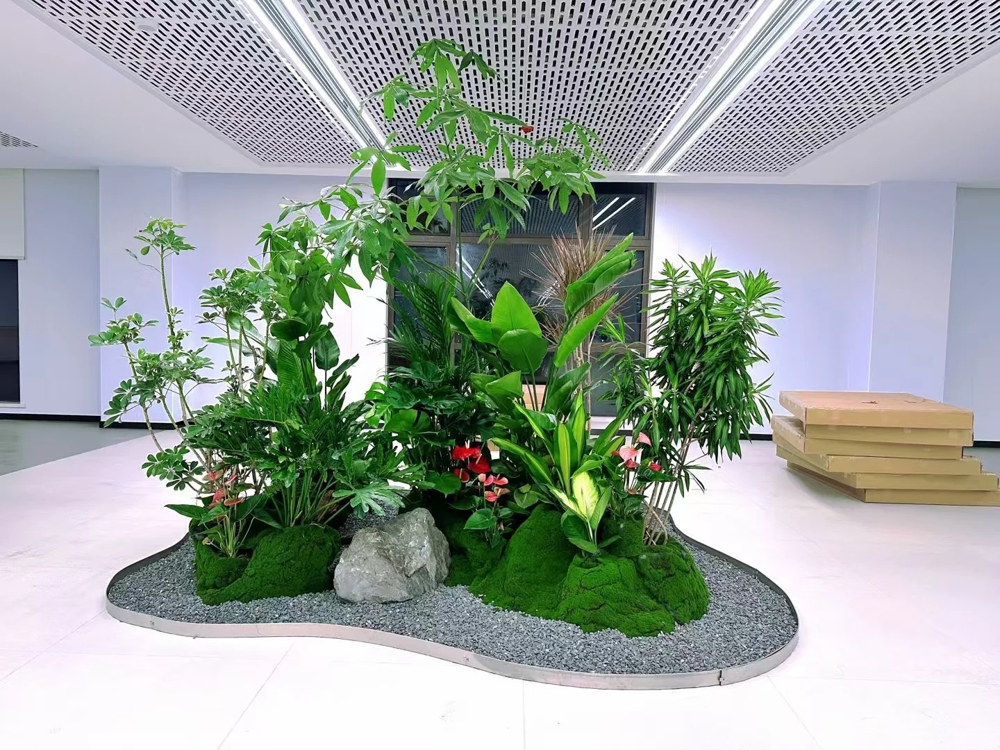余姚植物租摆超专业,开启室内绿植美化新篇章!